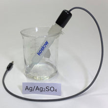 Load image into Gallery viewer, Silver Sulfate Electrode Kit (1003 Series)